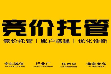 SEM营销案例：品牌知名度提升之路